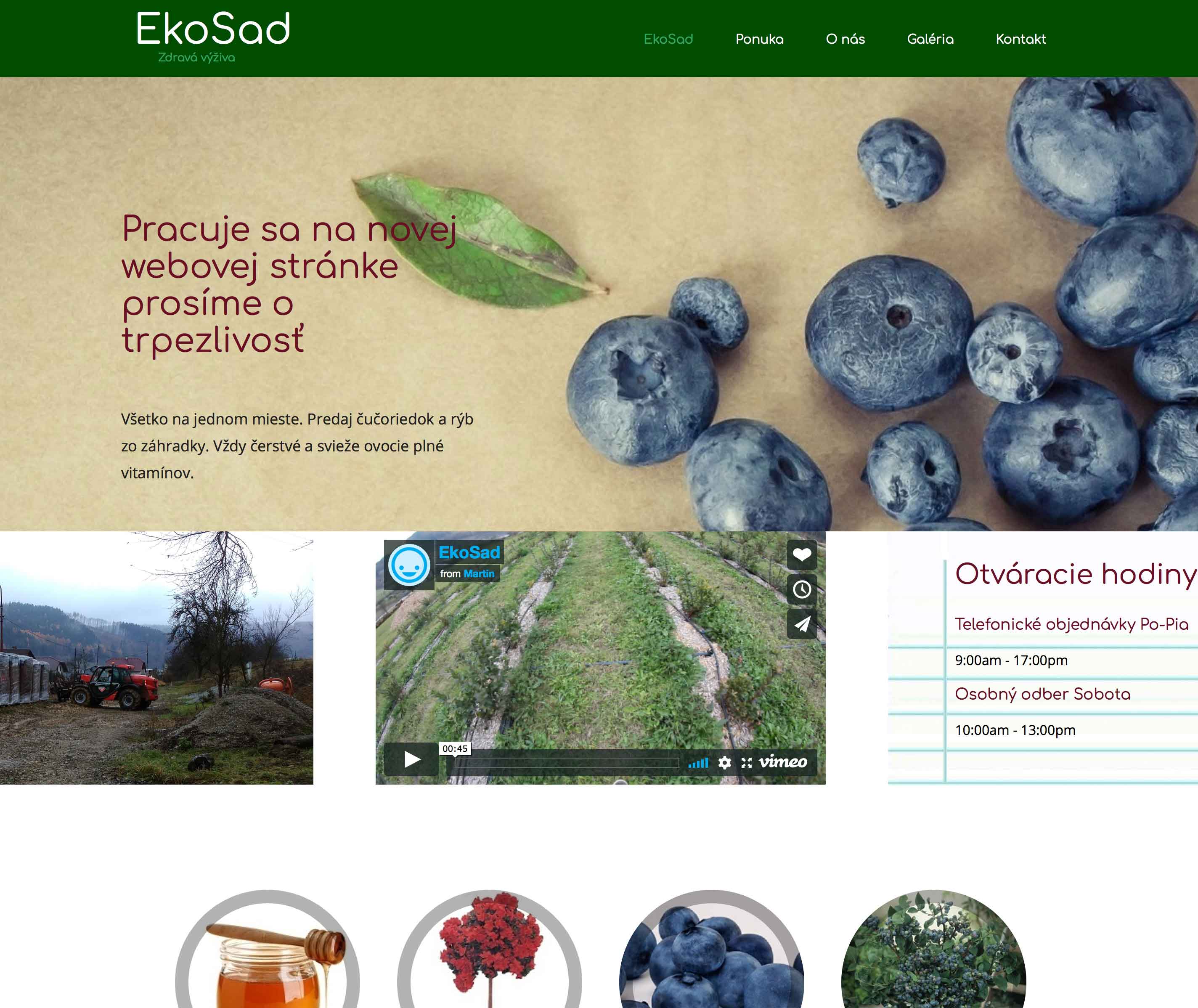 Preview Ekosad website before redesign